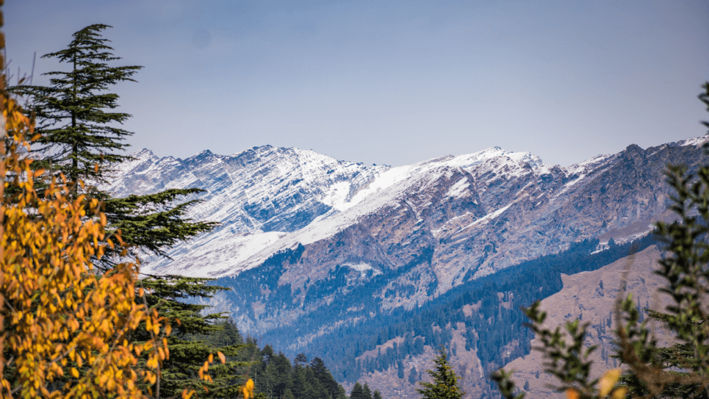 Tiffin Top In Nainital Uttarakhand